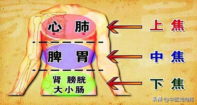文章图片3