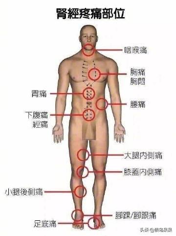 最全人体部位疼痛对照表，告诉你这里痛是什么原因，如何防治！