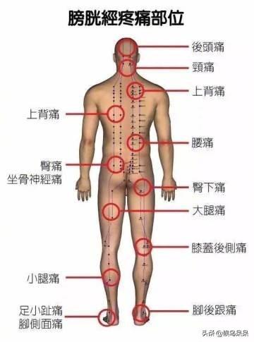 最全人体部位疼痛对照表，告诉你这里痛是什么原因，如何防治！