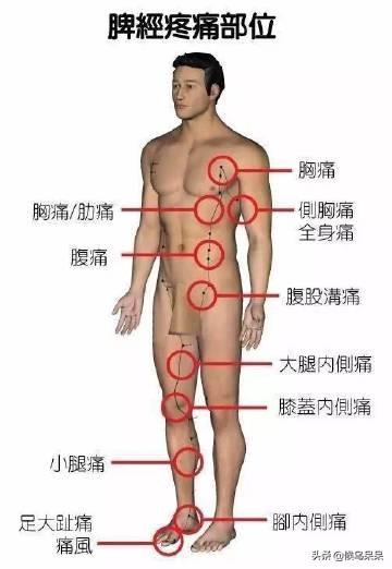 最全人体部位疼痛对照表，告诉你这里痛是什么原因，如何防治！