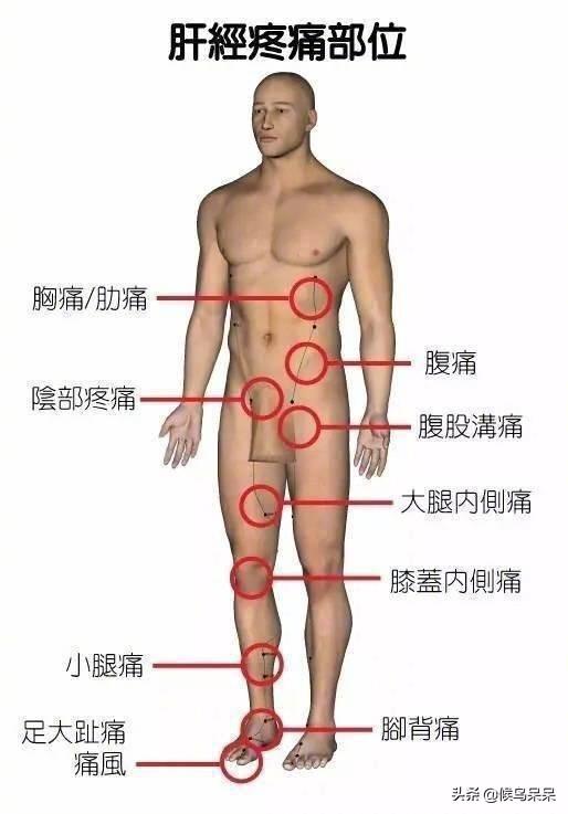 最全人体部位疼痛对照表，告诉你这里痛是什么原因，如何防治！