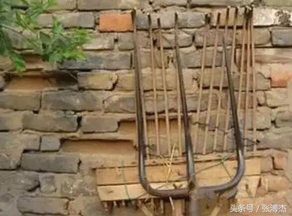 农村割麦打麦的老照片：哪一张戳中了你的泪点