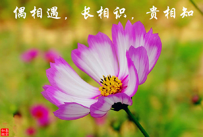 偶相遇，长相识，贵相知