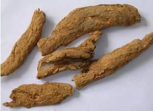 仅一味中药就可以降血糖 ，一味中药的单药方！