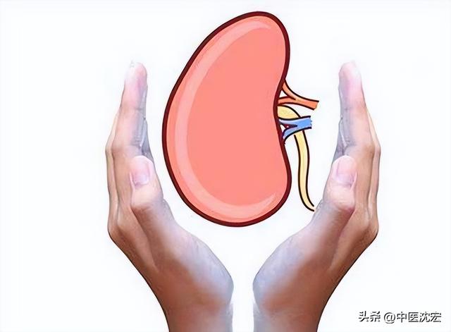 文章图片3