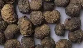 仅一味中药就可以降血糖 ，一味中药的单药方！